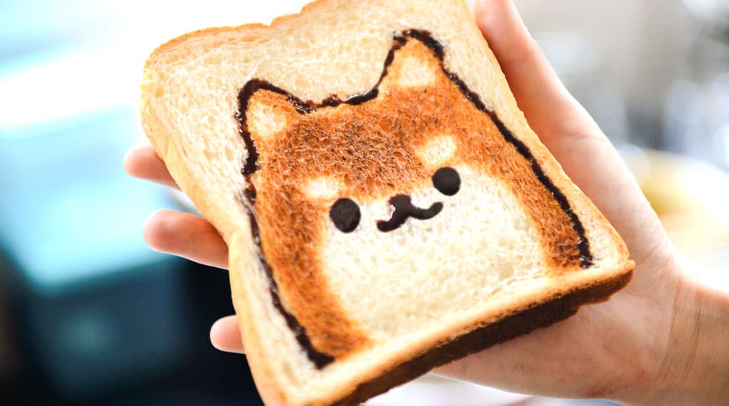 How to Choose Puppy Food? Blog02 Free Img 1