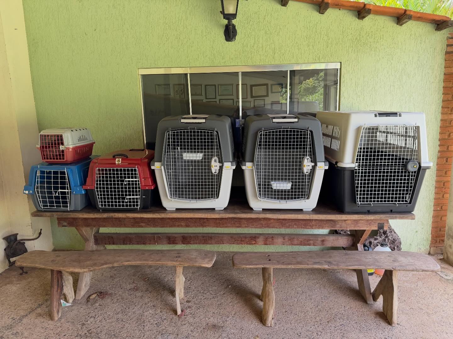 Alugamos caixas de transportes para cães, gatos e Pets, temos vários tamanhos! Oferecemos o melhor custo benefício para os clientes. #transportedecaesepets