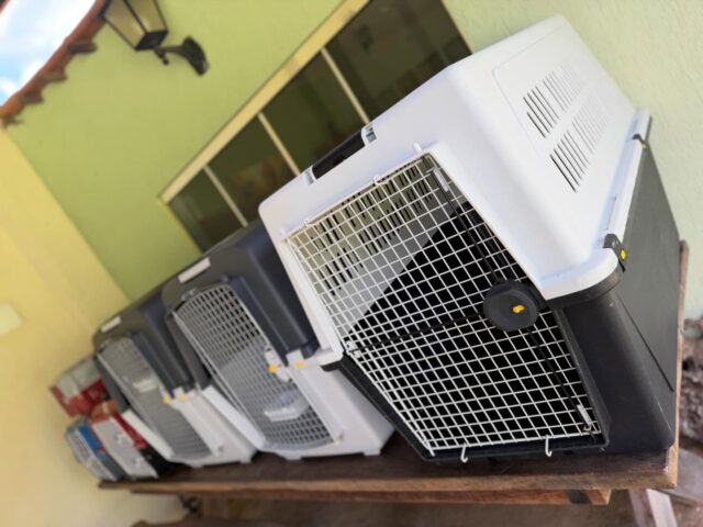 Alugamos caixas de transportes para cães, gatos e Pets, temos vários tamanhos! Oferecemos o melhor custo benefício para os clientes. #transportedecaesepets