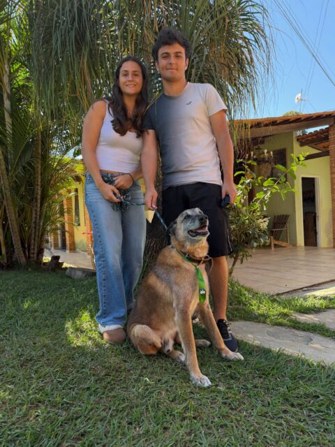 Barney um cão da raça Pastor Belga Malinois com idade de 14 anos! Hospedamos com idosos com um cuidado extremo.