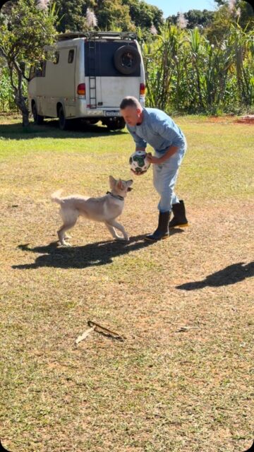 Oferecemos Adestramento, hospedagem, creche, banho e tosa, táxi Dog! Tudo isso com qualidade para o bem estar do seu cão.