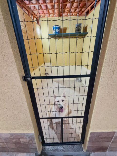 Home Hotel cinco estrelas e creche para cães na cidade de Arniqueira! Temos uma estrutura moderna e planejada para o bem estar dos Pets. Faça a sua reserva.