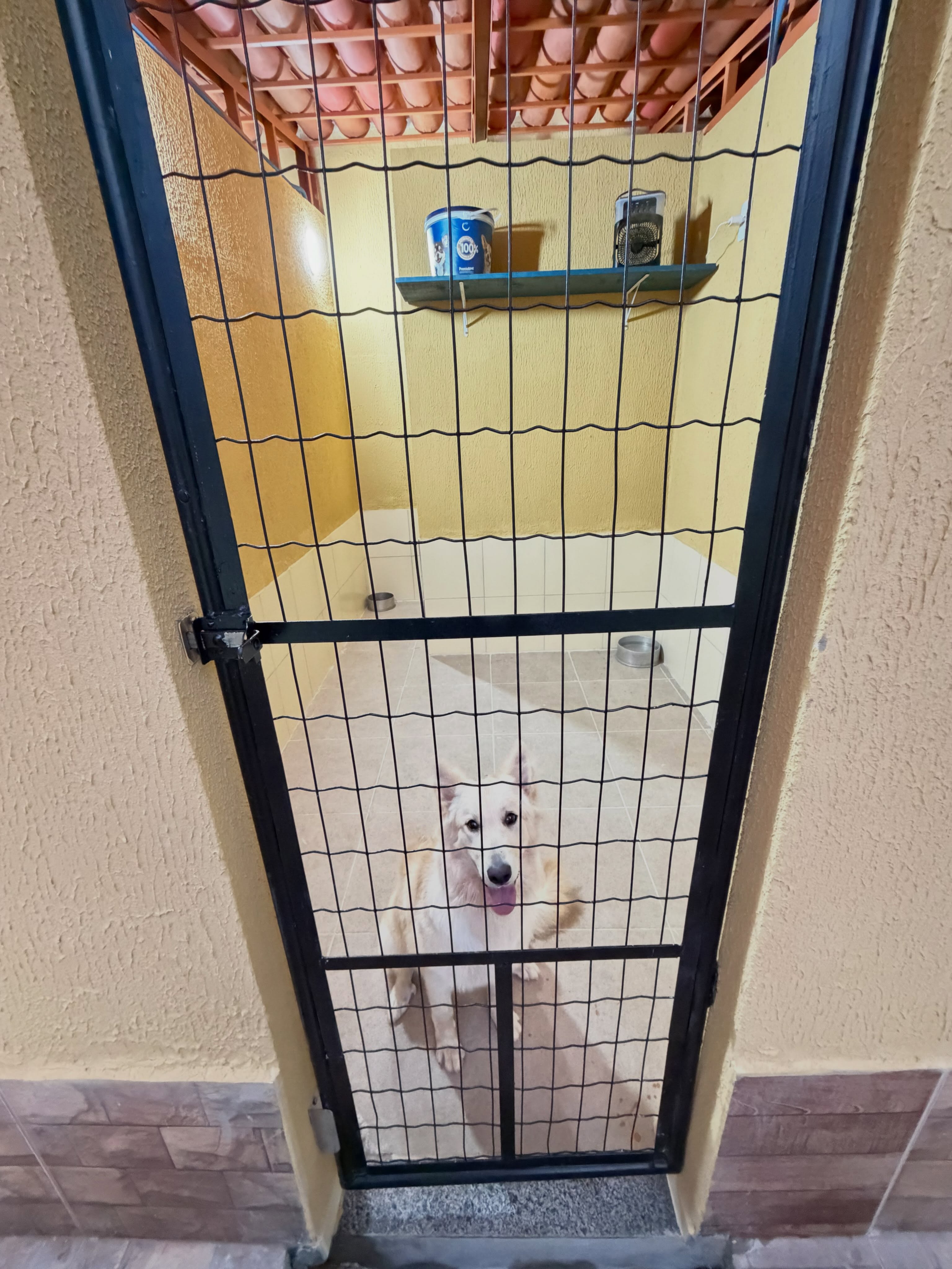 Home Hotel cinco estrelas e creche para cães na cidade de Arniqueira! Temos uma estrutura moderna e planejada para o bem estar dos Pets. Faça a sua reserva.