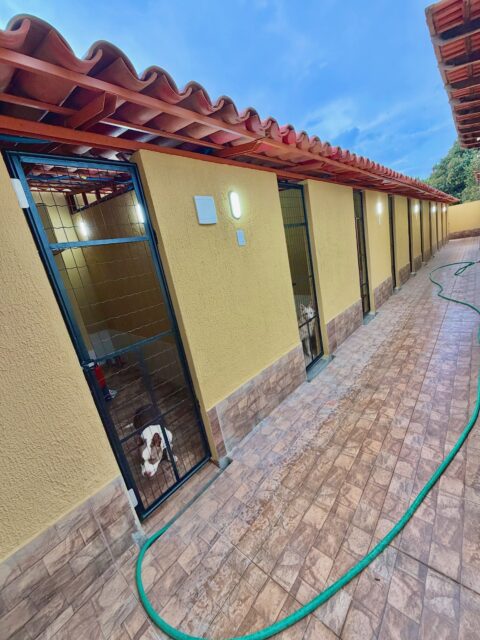 Home Hotel cinco estrelas e creche para cães na cidade de Arniqueira! Temos uma estrutura moderna e planejada para o bem estar dos Pets. Faça a sua reserva.
