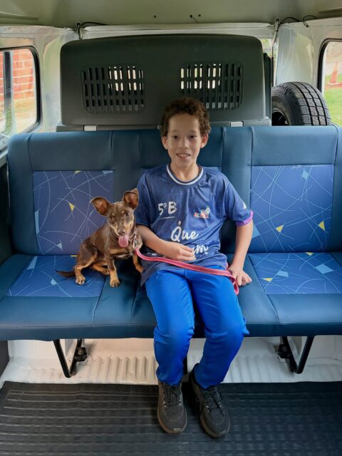 Home Buscando o conforto e segurança dos Pets, chegando a conclusão que a Kombi se encaixaria nesses requisitos! Então resolvemos investir em uma Kombi do ultimo ano que foi fabricada, super conservada, toda revisada e reformada. Temos dedicação total com os Pets. Mais um veículo de apoio, para a confiabilidade dos nossos serviços.