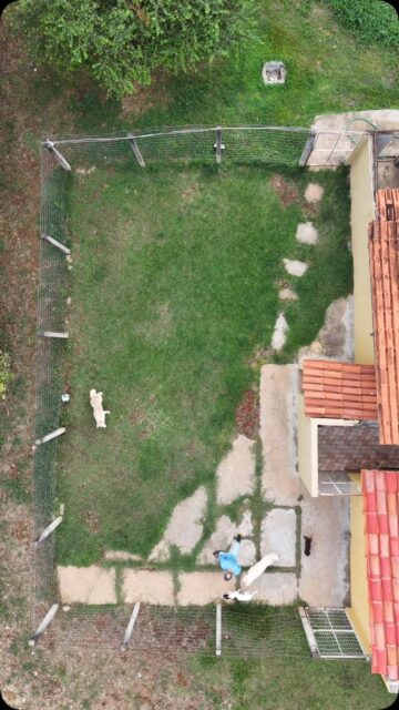 Home Oferecemos creche para o seu cachorro com brincadeiras, socialização, Adestramento! Temos uma estrutura completa para o bem estar do seu pet.