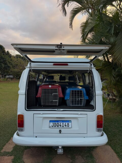 Home Buscando o conforto e segurança dos Pets, chegando a conclusão que a Kombi se encaixaria nesses requisitos! Então resolvemos investir em uma Kombi do ultimo ano que foi fabricada, super conservada, toda revisada e reformada. Temos dedicação total com os Pets. Mais um veículo de apoio, para a confiabilidade dos nossos serviços.