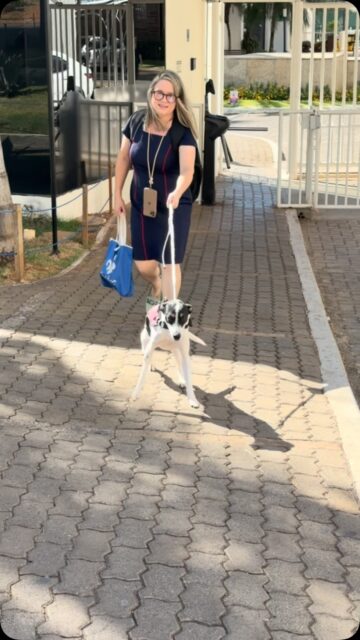 Home Oferecemos serviços de creche, adestramento, hospedagem, banho e tosa, táxi Dog! Tudo isso com qualidade bem estar dos cães.